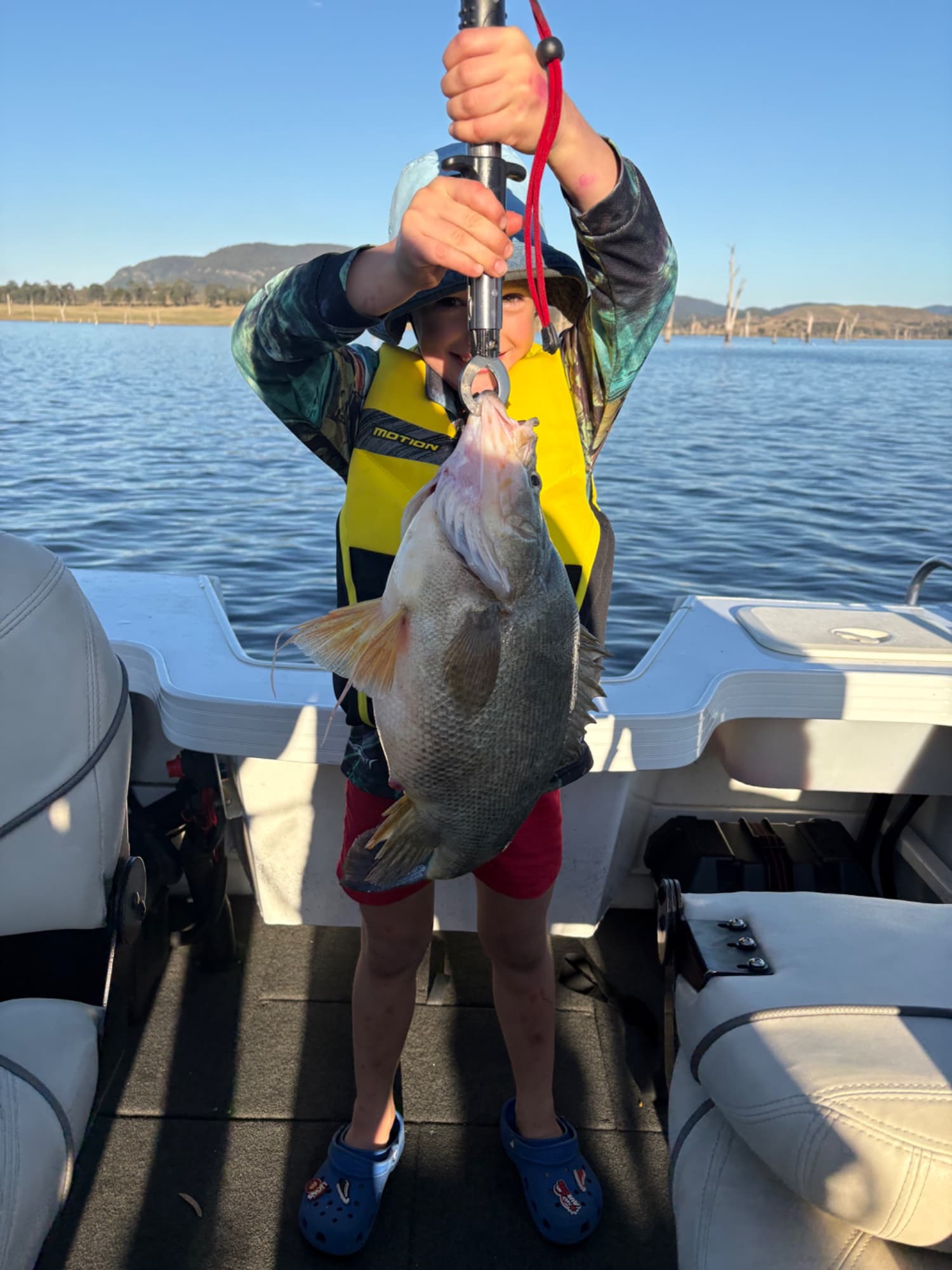 Lewis Werth — Golden Perch