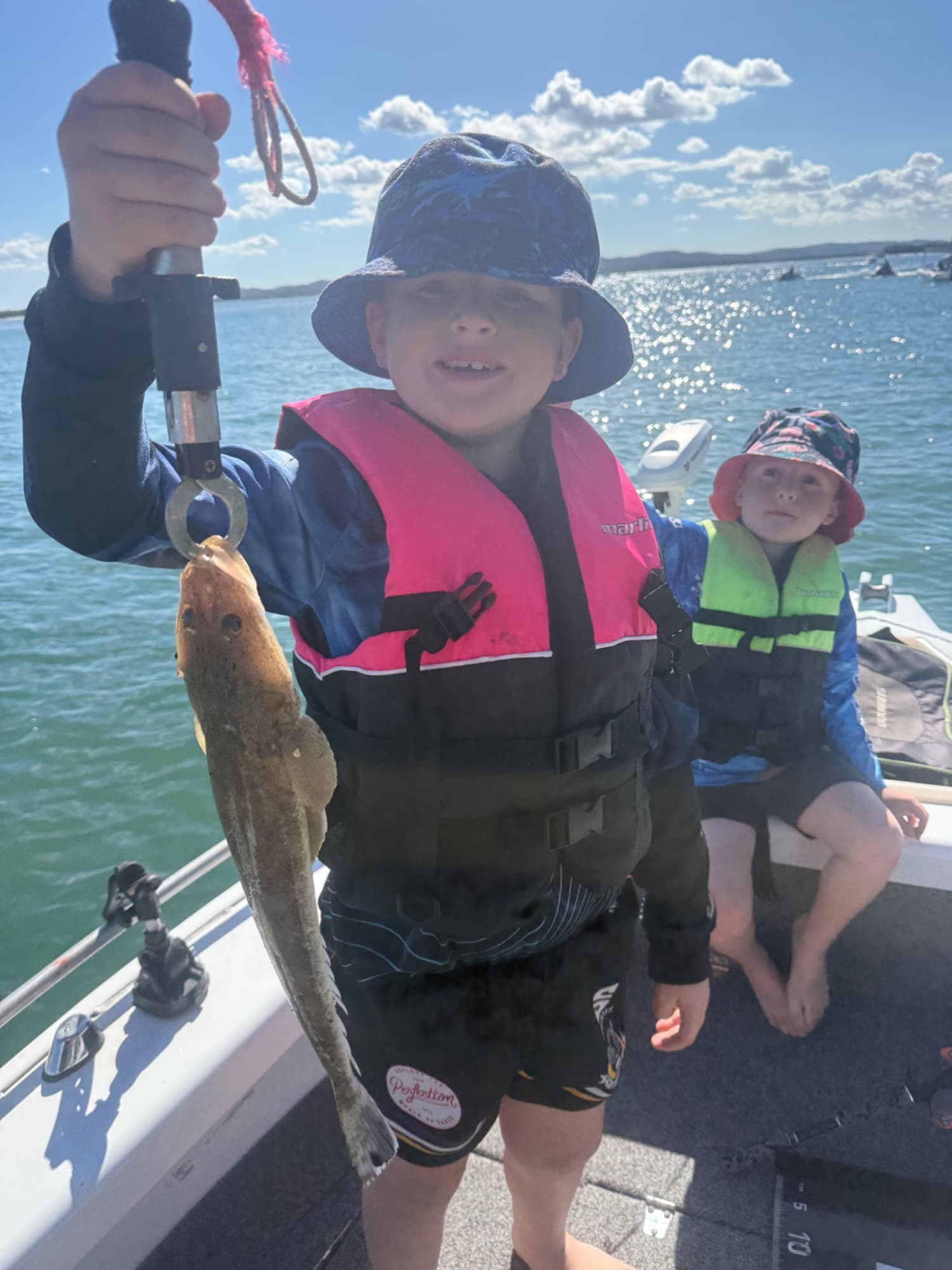 Ashton Mischke — Flathead